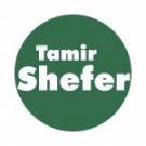 Galerien Tamir Shefer